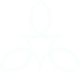 Meril Life Sciences Pvt. Ltd